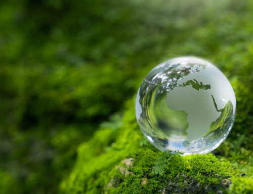 10 claves del curso Diseño de planes de acción ODS para empresas