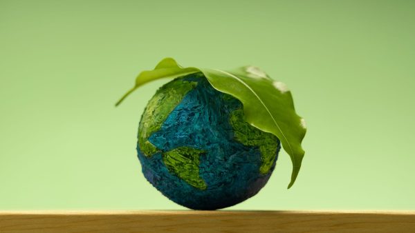 simplificación de los informes de sostenibilidad