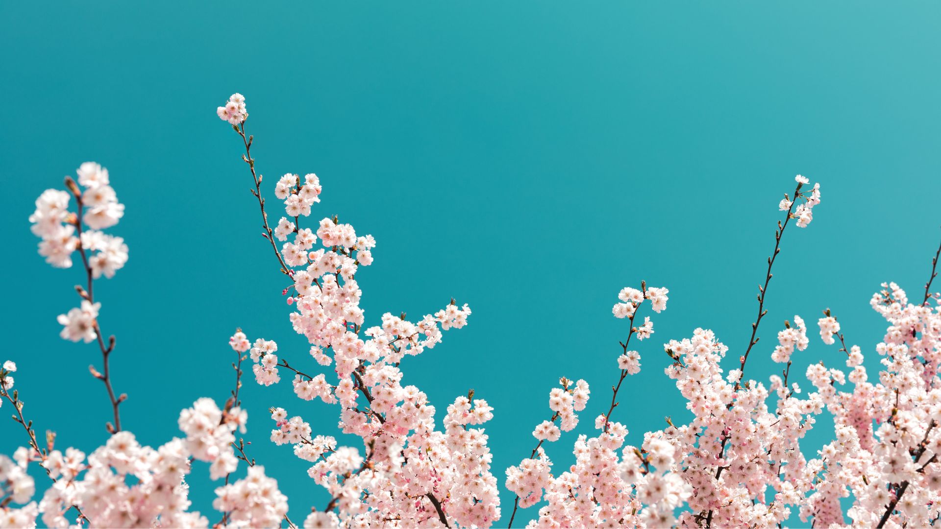 Agenda de actividades 24-26 de Abril