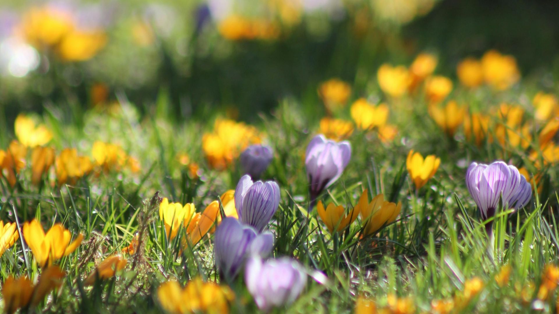 agenda de actividades abril