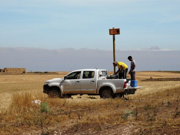 custodia del territorio en España cajas nido rapaces agricultura