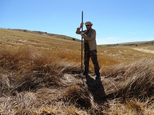 custodia del territorio en España instalación cajas nido