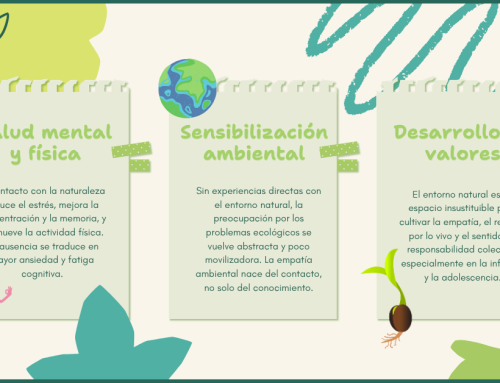 Desconexión con la naturaleza: el reto educativo de nuestro tiempo