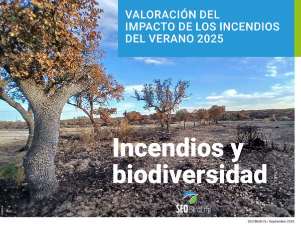 informe incendios y biodiversidad