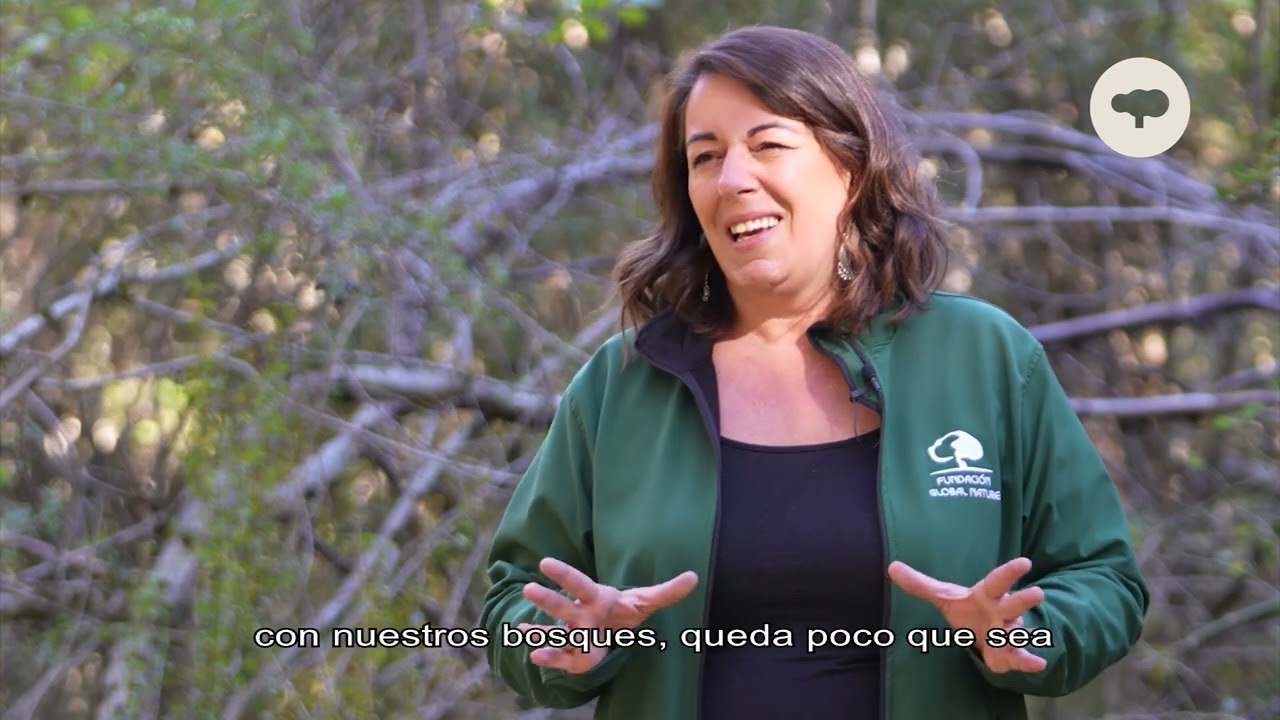 servicios ecosistémicos forestales