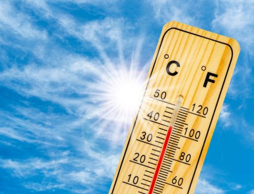 Verde Urbano: Escudo Natural contra las Islas de Calor en Nuestras Ciudades