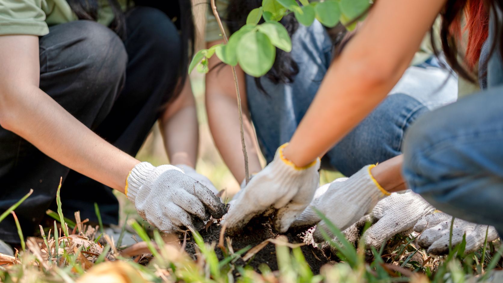 Actividades Dia Mundial Medio Ambiente 2026