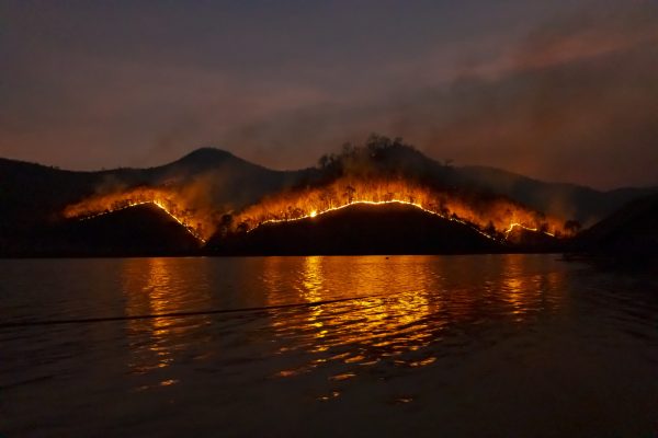 custodia del territorio incendios forestales