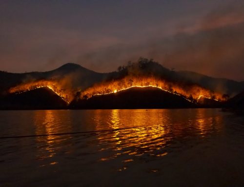 La custodia del territorio como escudo frente a los incendios forestales