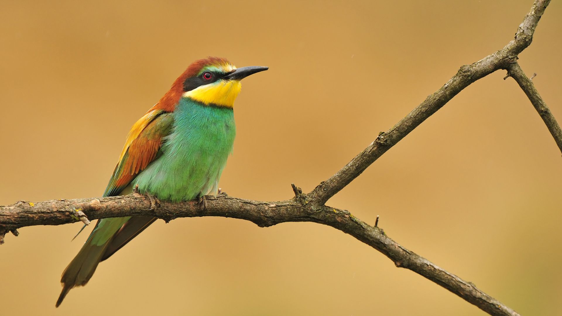 Red Natura 2000 en España