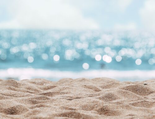 Verano sostenible: pequeños gestos para reducir tu huella ambiental