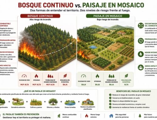 ¿Puede un paisaje reducir el riesgo de incendios forestales?