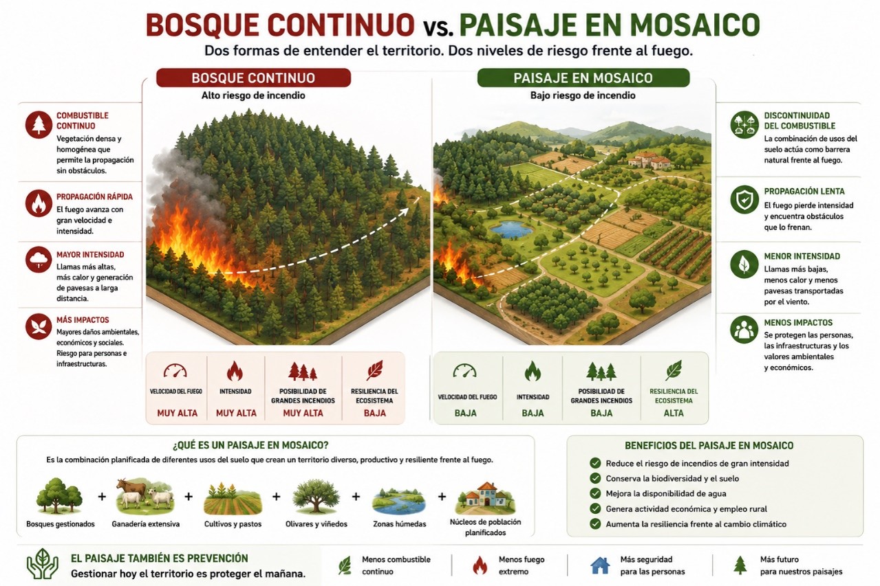 Bosque continuo vs Paisaje en mosaico gestion paisaje