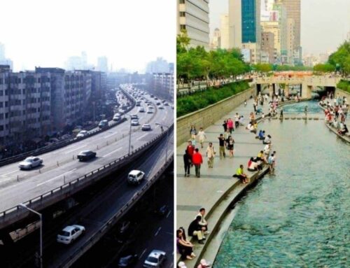 ¿Y si la naturaleza fuera la infraestructura que necesitan nuestras ciudades? Las Soluciones Basadas en la Naturaleza ya están cambiando el urbanismo
