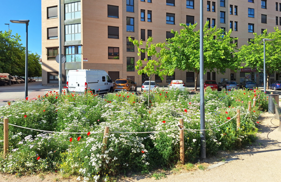 renaturalizacion urbana