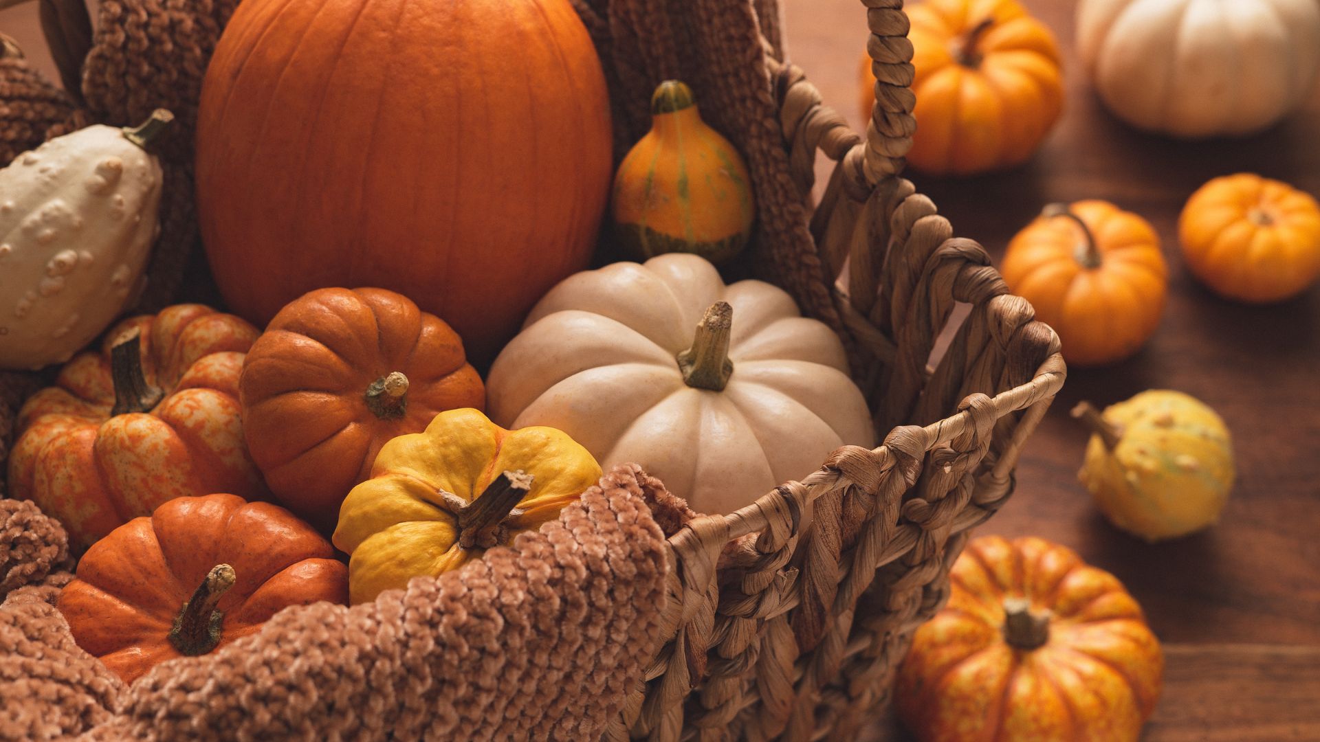 Agenda de Actividades Puente 30 de octubre - 2 de noviembre