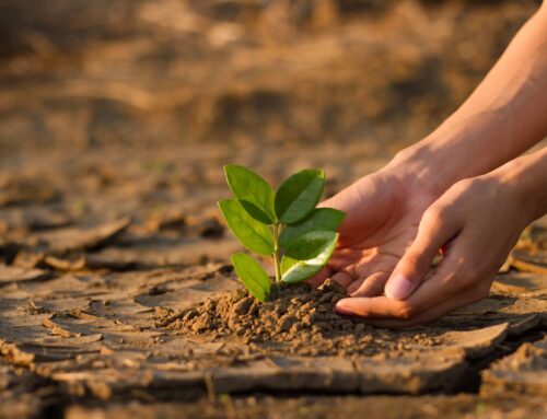 Por qué los municipios necesitan especialistas en adaptación y mitigación climática