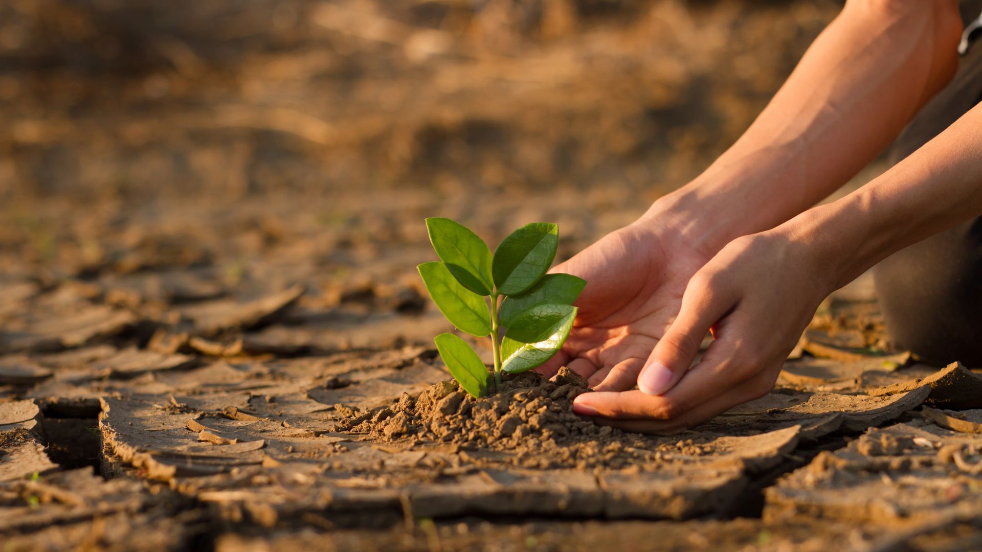 adaptación al cambio climático en municipios