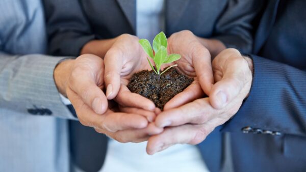 Servicios ecosistémicos y relación entre la naturaleza y las empresas